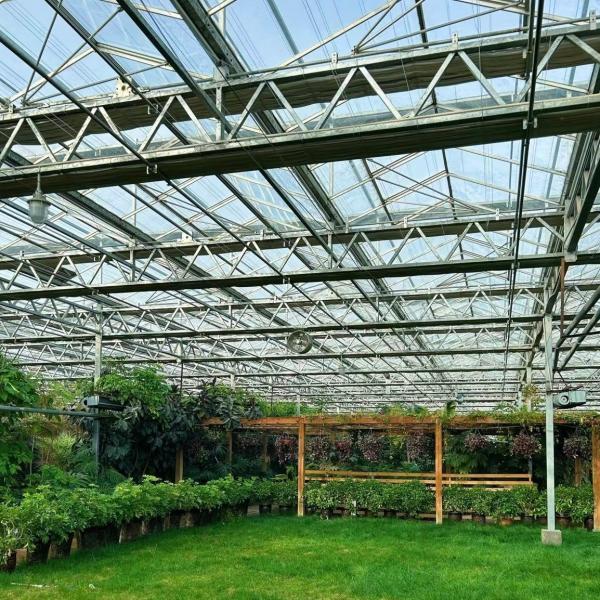 JX-A00126 Single Layer Glass Greenhouse for Sustainable Growth 100.000kg Gross