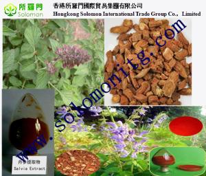 Wholesale top quality danshen extract free sample --Salvia Miltiorrhizae from china suppliers