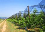 Bird Control Net, Pest Netting Fabrics, Crop Saver Insect Net, Direct Factory
