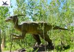 Outdoor Moving Velociraptor Life Size Model For Garden Display / Festival