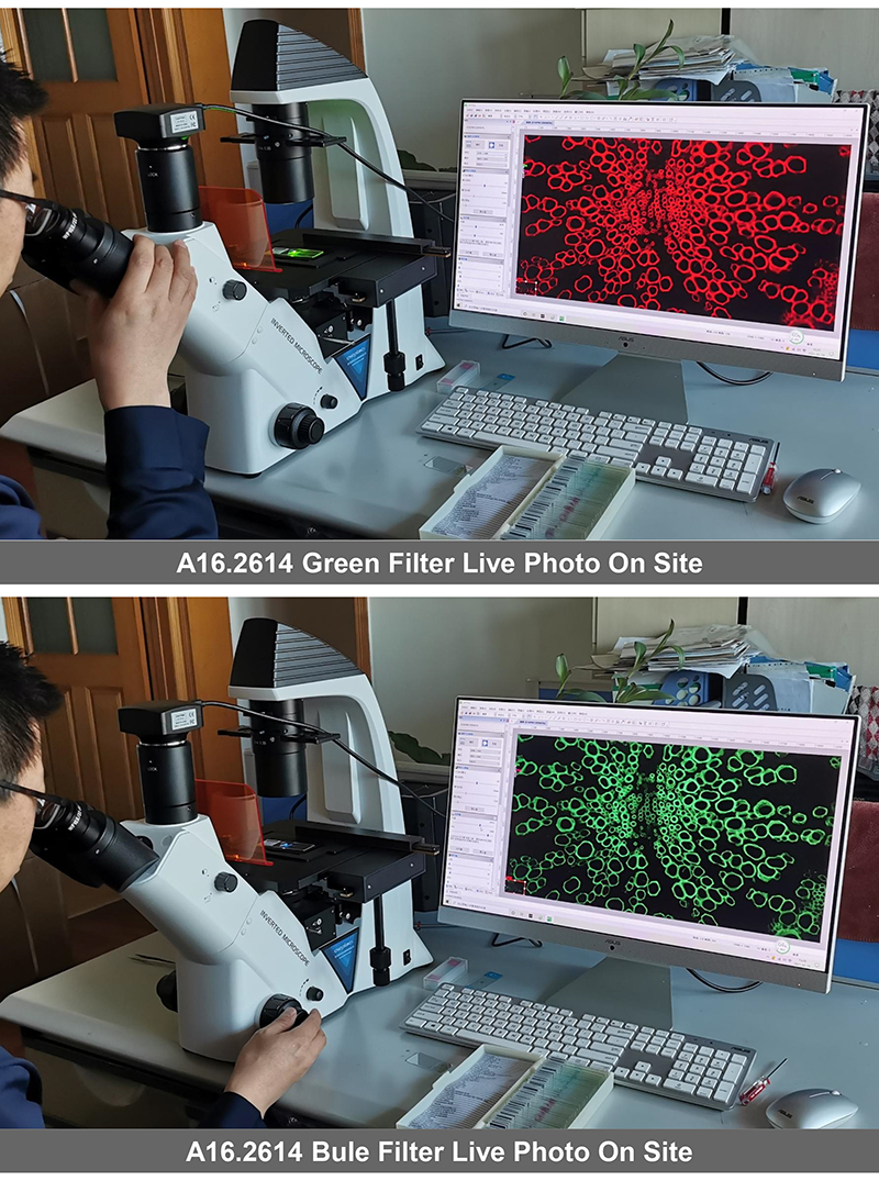 OPTO-EDU A16.2614-UL China Supplier High Brightness Inverted Ultra LED Fluorescent Microscope Price