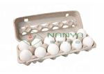 Touch Screen Rotary Type Pulp Molding Production Line Forming Fruit Tray