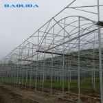 Clear Plastic Grow Tunnel / Agriculture Farm Plastic Tunnel Greenhouse