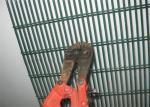 Fashion Design Anti Climb Barrier , 358 Anti Climb Fence For Factories /