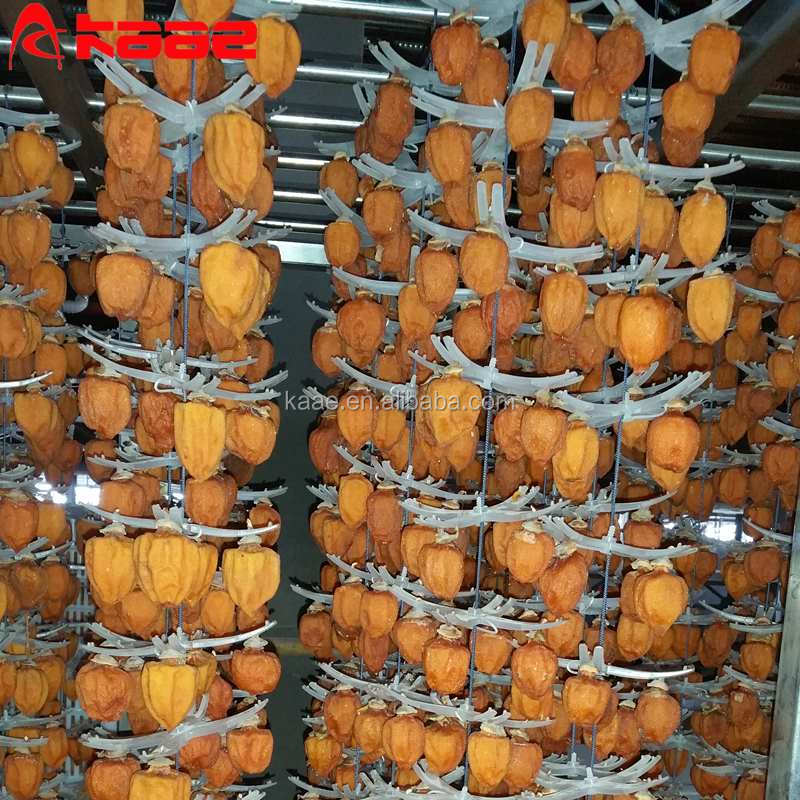 10t/H Dried Persimmon Production Line Persimmon Peeling Machine Heated Persimmon Drying Room