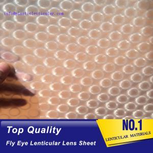 Wholesale PLASTIC LENTICULAR PP materical 3d Fly eye lenticular film sheet with small dots at the surface from china suppliers