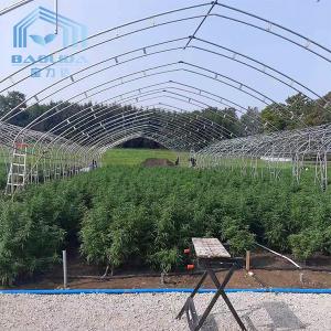 Wholesale Double Arch Side Ventilation Single Span Greenhouse For Agriculture Strawberry Growing from china suppliers