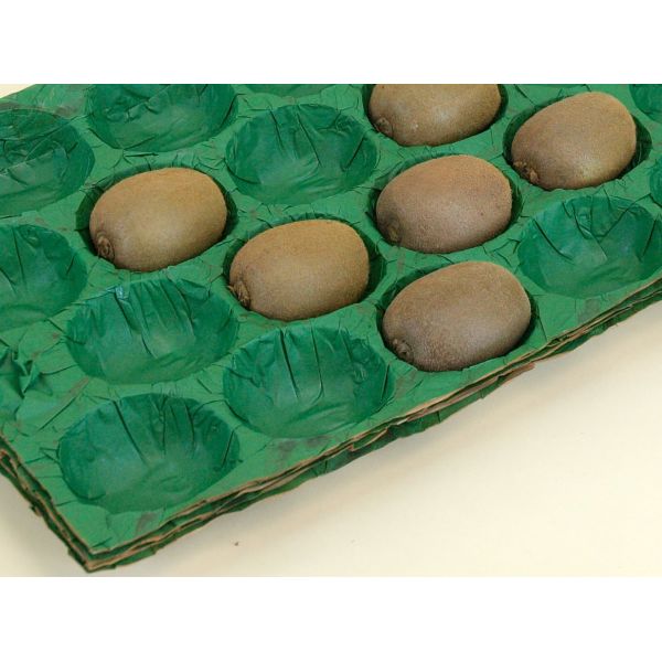 Biodegradable Fresh Fruit Cavity Tray Liner Set Fruits Et Lgumes Emballage Alvoles Paper Tray