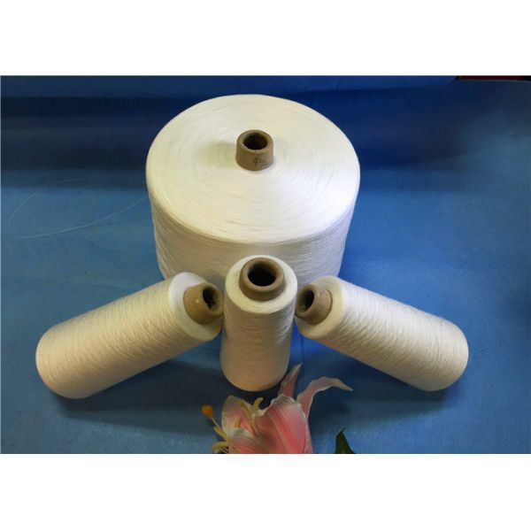 100% Polyester Spun Yarn With Paper cone / 24000KG Polyester Sewing Thread For A Container