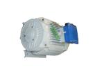 50hz 100kw Hydro Turbine Permanent Magnet Generator