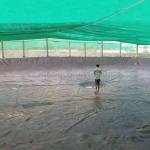 Modern Design Black HDPE Smooth Geomembrane 0.5mm 1mm for Landfill Sites and