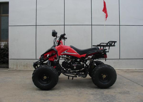 8" Tires 110cc Utility Vehicles Atv with Ront Drum Brake Rear Disc Brake / Foot