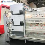 Steel Chicken Layer Cages A Type H Type Automated Battery Cage