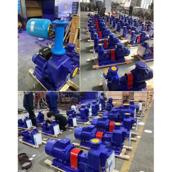 Large Head Self Priming Horizontal Sewage Pump Clean Water Large Flow Rate
