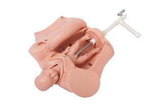 Wholesale Advanced CPR Manikins Education Delivery Models Medical Training Models For School from china suppliers