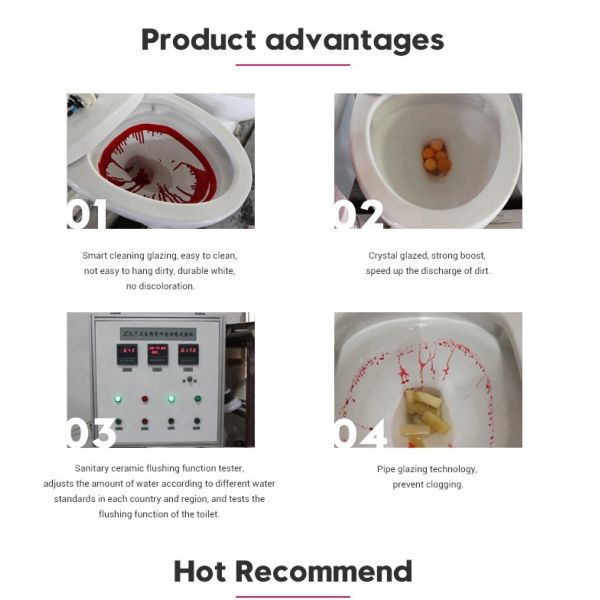 Ceramics Wall Mounted WC , p trap washdown wc 540*365*335mm Size