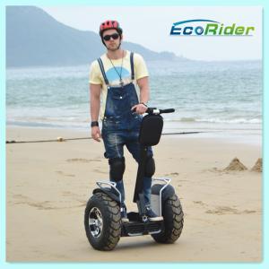 Wholesale Brush Or Brushless Motor Electric Chariot Scooter Black Two Wheel Segway from china suppliers
