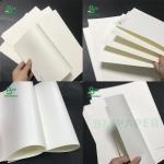 Food Grade 210 / 230g + 15g Poly Coated White Cup Stock Paper Board Rolls For