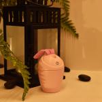 New Product Ideas 2019 USB Essential Oil new product ultrasonic mist maker air