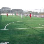 Sports Non Infill Artificial Grass Soccer Field Envrionmental Protection