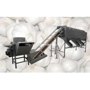 Wholesale Automatic Garlic Separating and Grading Machine from china suppliers