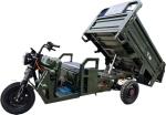 1000W Electric Tricycles Cargo Truck Self-discharging 3 Wheel Motorcycle for