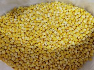 Wholesale Iqf 24 Months Frozen Sweet Corn Kernels from china suppliers