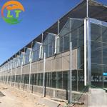 Multi-Span Agricultural Greenhouses with Hot-Dip Galvanized Steel and Smart