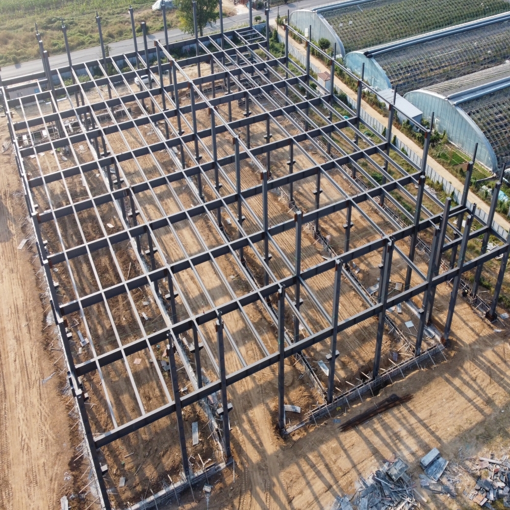 Wholesale Q355B Steel Frame Industrial Building with 50-Year Lifespan from china suppliers