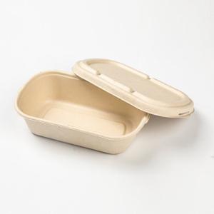 Wholesale ISO Biodegradable Bagasse Fast Food Packaging Box 198*115*35mm from china suppliers