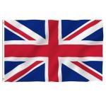 pantone Polyester World Flags Custom Printing Czech National Flag