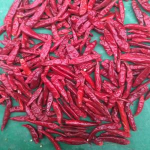 Wholesale 1.5cm Premium Red Chilli Ring Package 1-20KG/CTN Seeds 0-35% from china suppliers