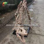 Highly Detailed Outdoor Decor Resin Dinosaur Skeleton Replica T-Rex Skeleton