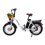 Electric Bike Tire EU Warehouse Customized Tire With 10AH/15AH 21700 50E Battery