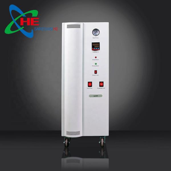 QL-N300A Nitrogen Generation Machine For 50KG Lab Applications Superior Performance