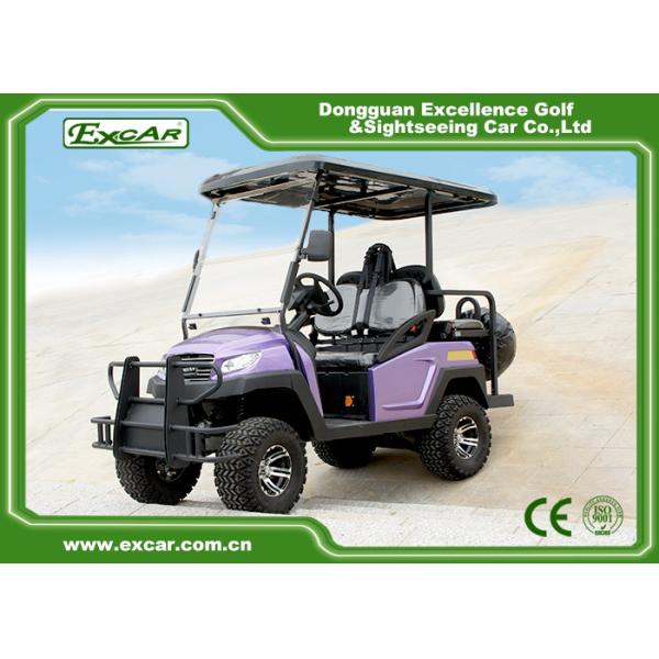 EXCAR Electric Hunting Buggy With Trojan Battery/Curtis Controller