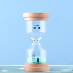 Gift Small Hourglass Mini Decorative 1 3 5 8 10 15 30 Minute Hourglass Sand