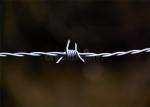 Fences for farm barbed wire type protect animals sucurity fence