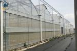 Large Complete Waterproof Multi Span Greenhouse For Tomato Plant Growing