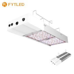 Wholesale T828 800W 0-10V Dimmable LED Grow Light 5 Years Warranty For Agrotech from china suppliers