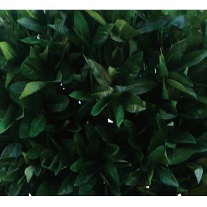 No Nursing Height 160cm Artificial Topiary Tree For Restaurant