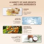 Private Label Organic Hair Care Oil Control Ginger Shampoo and Conditioner for