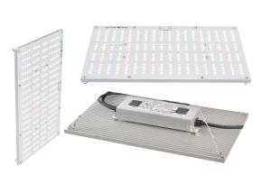 Wholesale UL 310nm Quantum Board Led Grow Lights For Mushroom from china suppliers