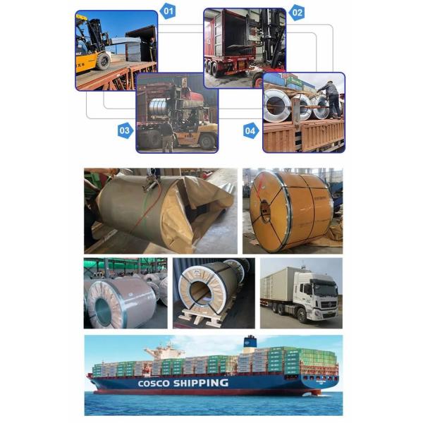 Regular Spangle Galvanized Steel Coils Hot Dipped Zinc Coated Galvanized Steel