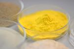 Besthway Food Grade Hemicellulase Xylanase Bakery Enzyme Powder / Liquid