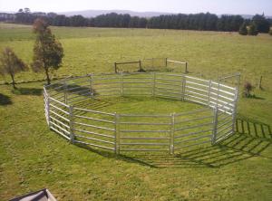 Wholesale Portable Horse Stall Panels 40x40 6 Oval Rails. Locking Pins. , Victoria , Cattle from china suppliers