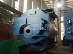 Industrial High Efficiency Gas Fired Steam Boiler 1/2//4/6/8/10 For Pharmaceutic