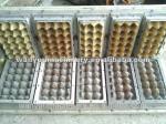 Eco - Friendly Automatic Paper Egg Tray Machine Waste Paper Recycling