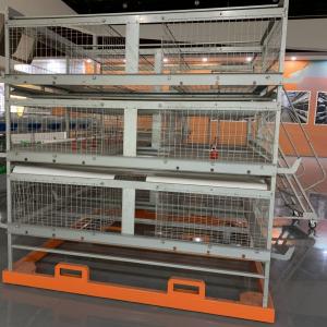 Wholesale Chickens Farming Feeding 4 Cell H Type Poultry Cage from china suppliers