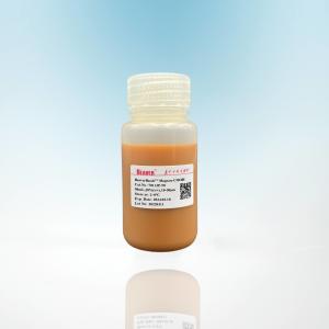 Wholesale 50 ML Protein Purification Magnetic Agarose Beads 10 - 30 μM 20% Volume Ratio from china suppliers